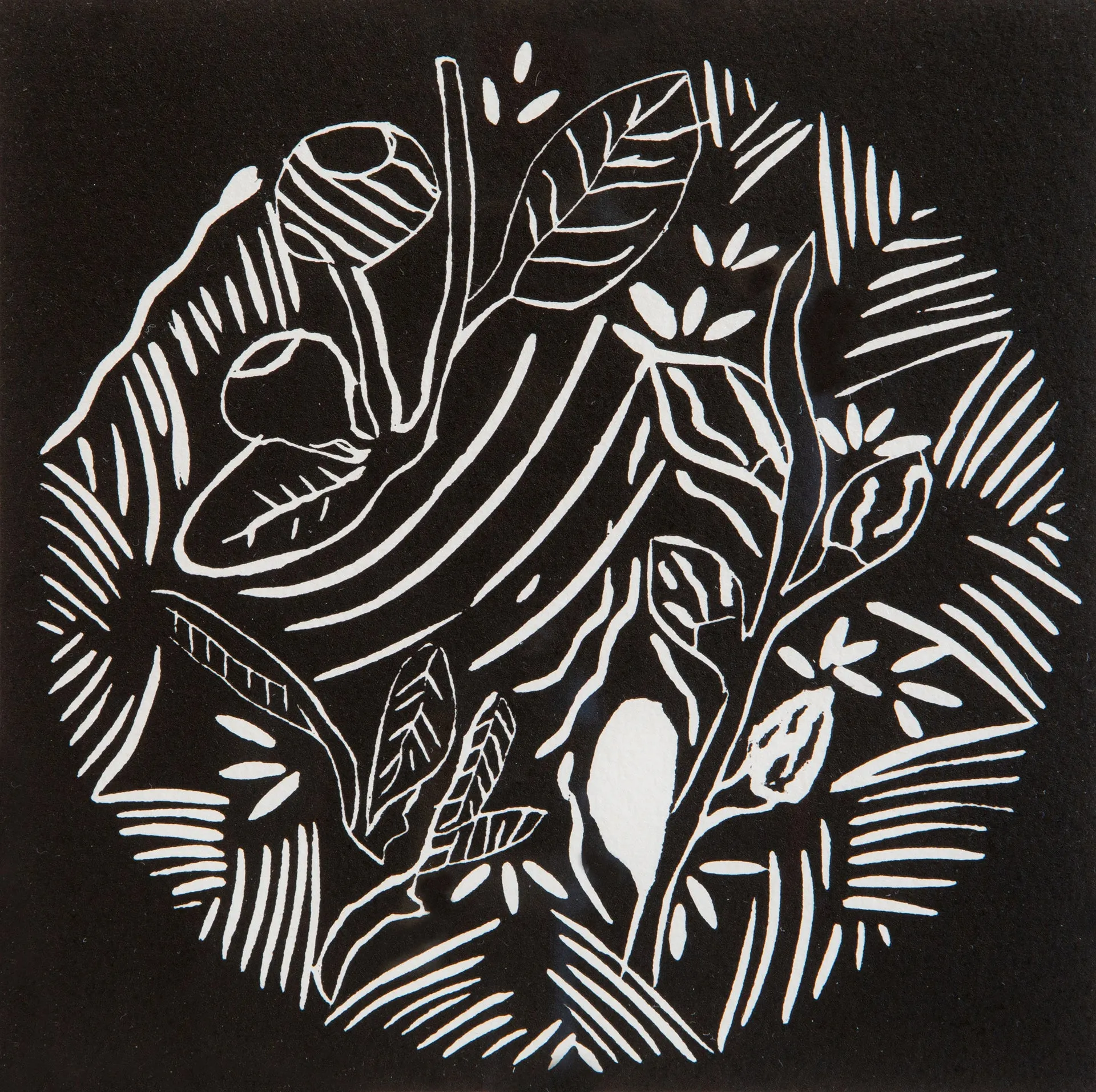 Dorothy Edwards, 'Bush Fruit', Linocut print on paper, 15 x 15cm