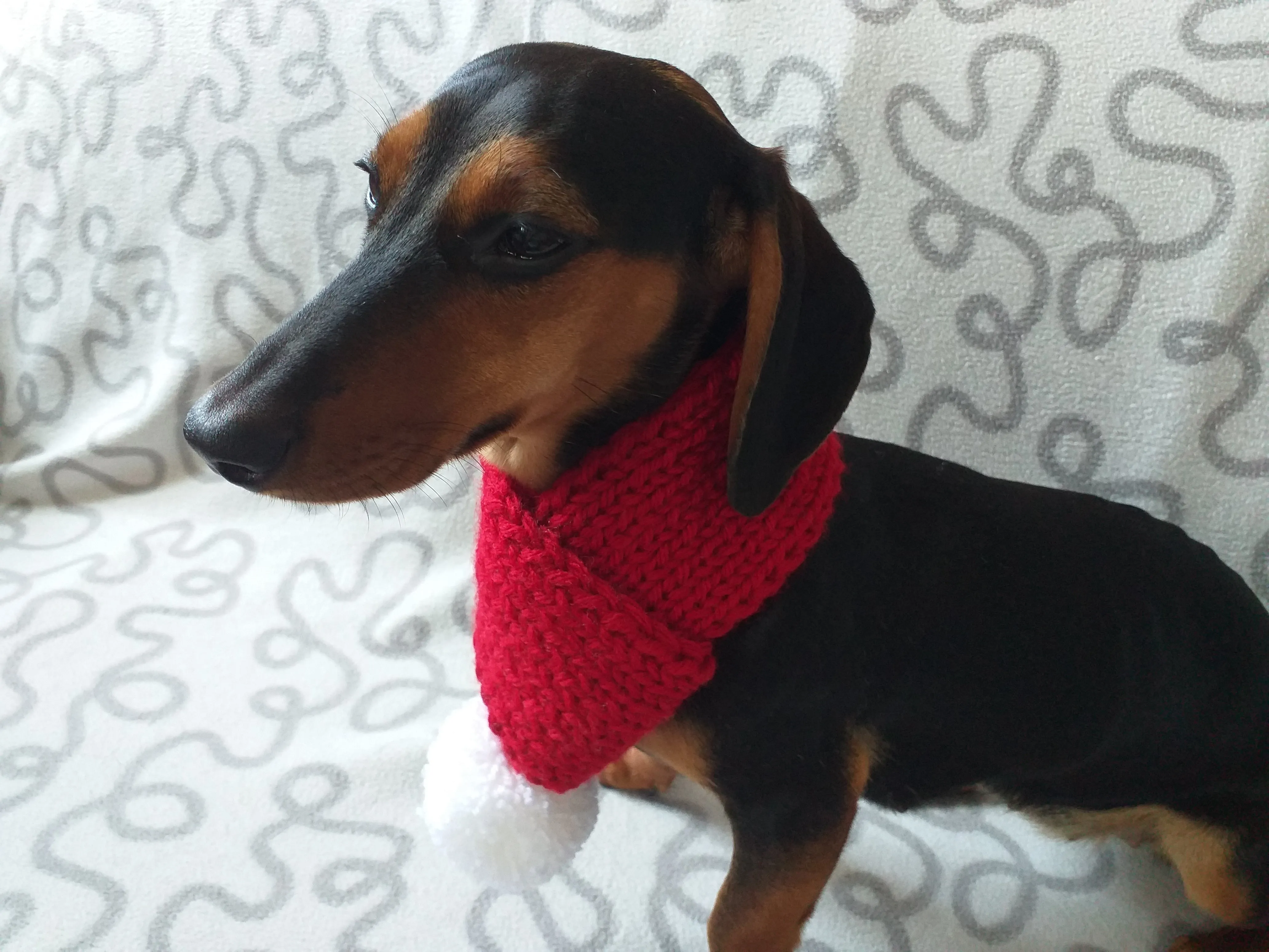 Knitted christmas winter dog scarf with pompom