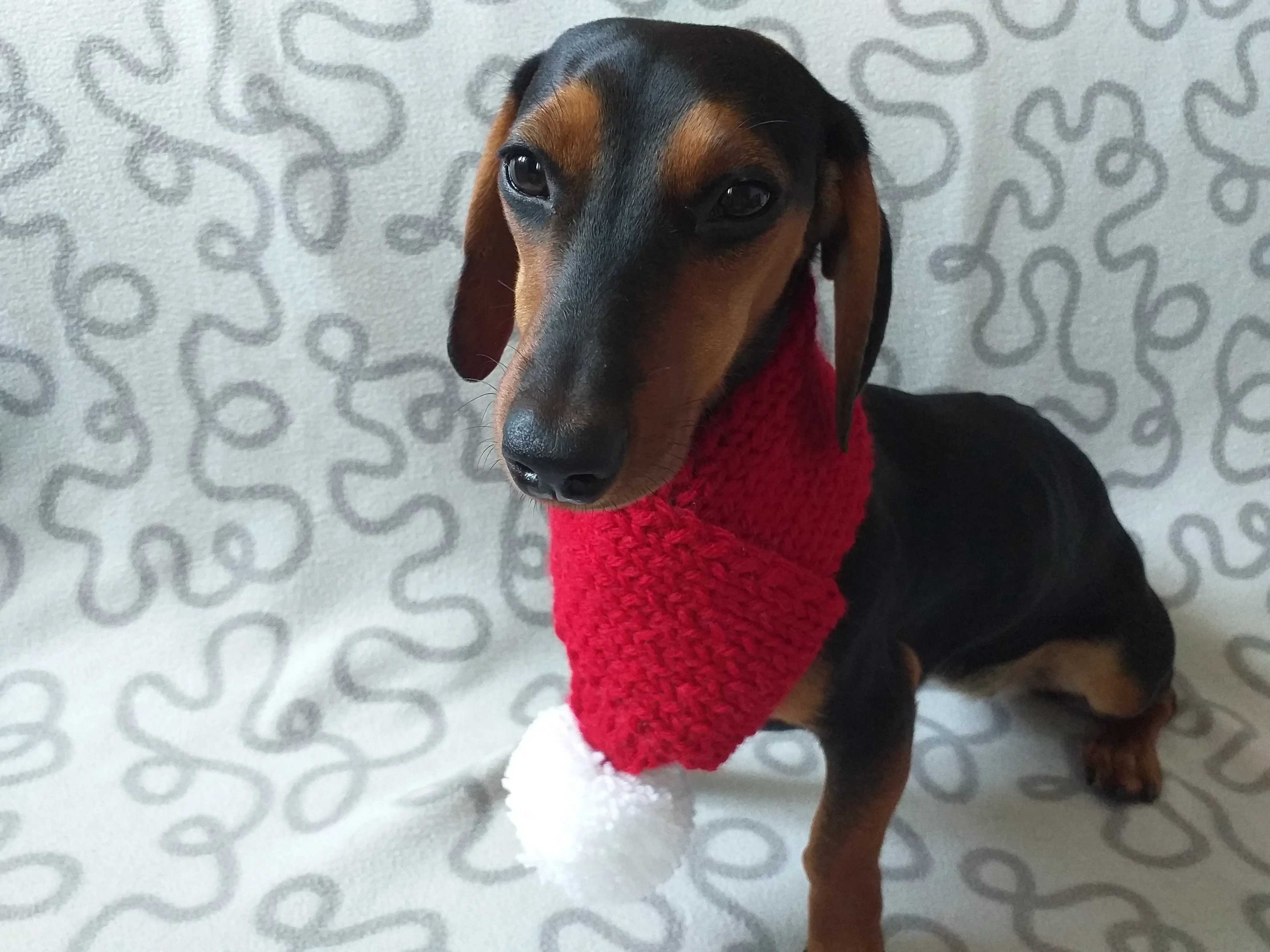 Knitted christmas winter dog scarf with pompom