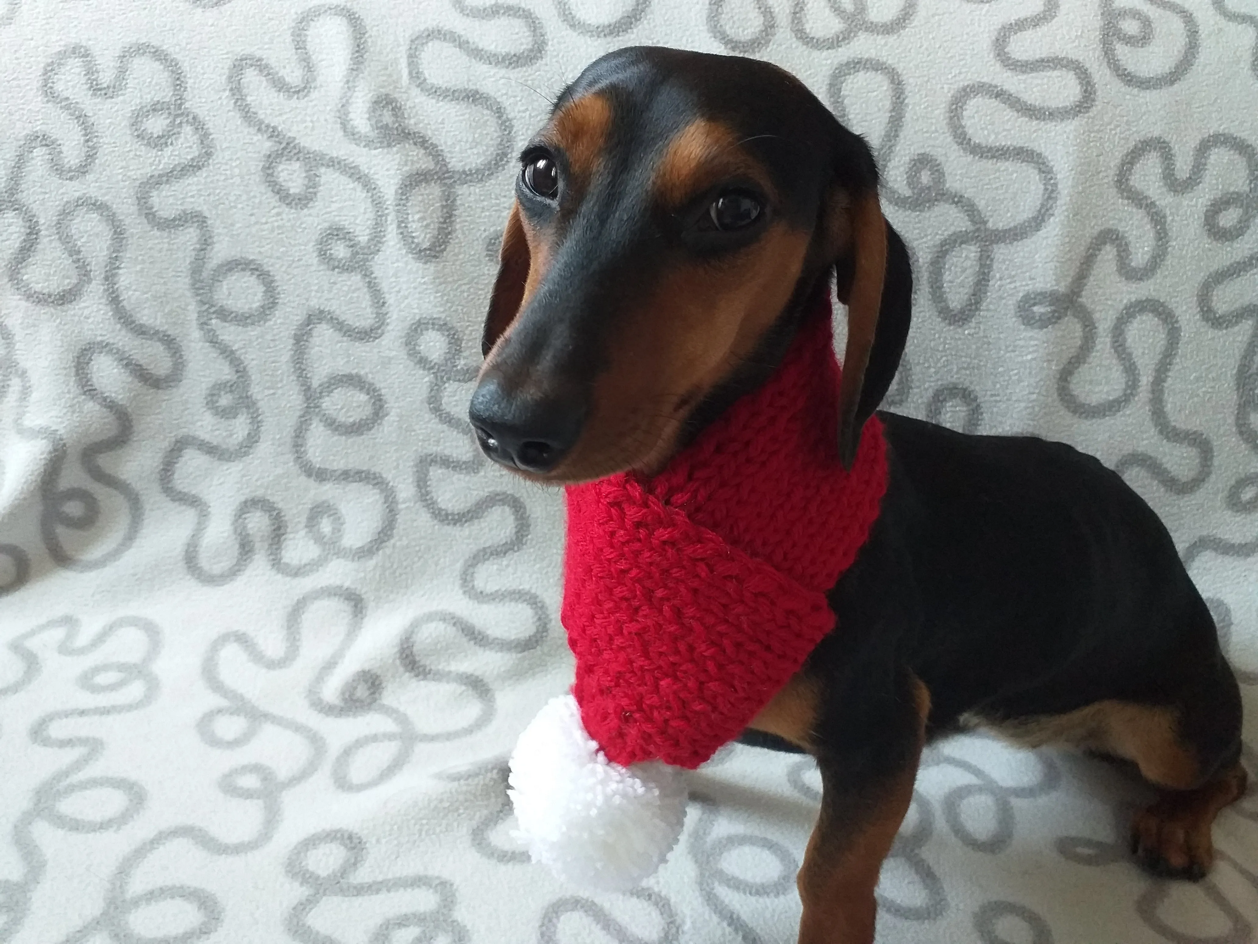 Knitted christmas winter dog scarf with pompom